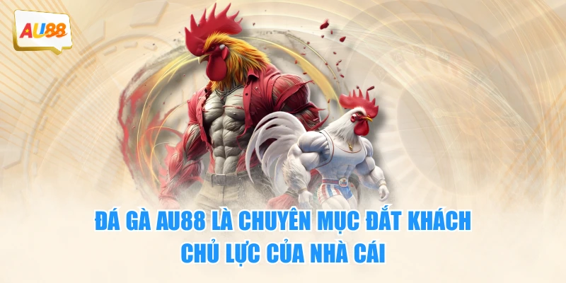 Đá gà AU88 là chuyên mục đắt khách, chủ lực của nhà cái