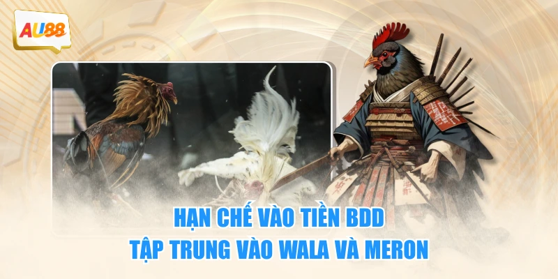 Hạn chế vào tiền BDD, tập trung vào Wala và Meron