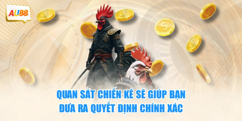 Quan sát chiến kê sẽ giúp bạn đưa ra quyết định chính xác